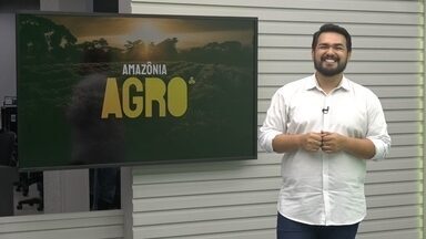 Assista ao Amazônia Agro deste domingo, 6 de outubro de 2024 - Assista ao Amazônia Agro deste domingo, 6 de outubro de 2024