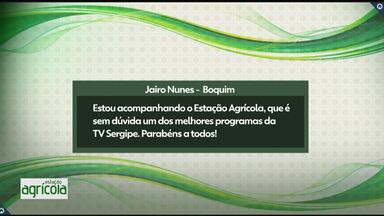 Estação Agrícola: telespectadores enviam mensagens para o programa - Estação Agrícola: telespectadores enviam mensagens para o programa.