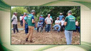 Confira o resumo com as principais notícias do agro nesta semana - Confira o resumo com as principais notícias do agro nesta semana