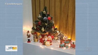 Veja participações de telespectadores que enviaram fotos de árvore de Natal - Confira os registros.