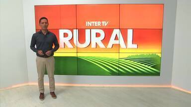 Íntegra do Inter TV Rural deste domingo,17 de novembro de 2024 - Telejornal mostra as principais notícias do campo.