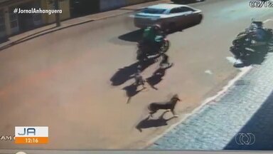 Após ser atacado por cães, mototaxista não consegue vacina antirrábica - Ele foi perseguido por 3 cães em Quirinópolis.