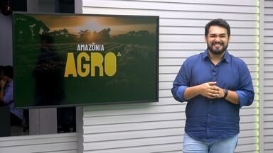 Amazônia Agro de domingo, 8 de dezembro de 2024 - Veja os destaques