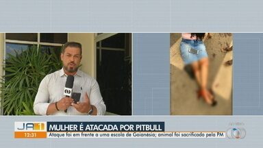 Mulher é atacada por pitbull em Goianésia - Ataque foi em frente a uma escola; animal foi sacrificado pela PM.