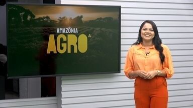 Amazônia Agro de domingo, 15 de dezembro de 2024 - Veja os destaques