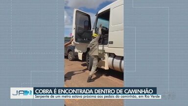 Cobra é encontrada dentro de caminhão, em Rio Verde - Serpente de um metro estava próxima aos pedais do veículo.