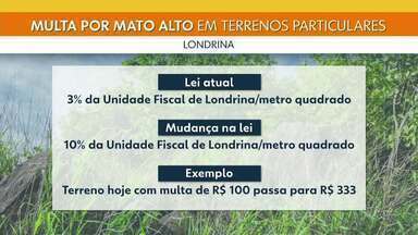 Multa para terrenos com mato alto ficará mais cara em Londrina - Vereadores aprovam reajuste no valor da punição aplicada pela CMTU.