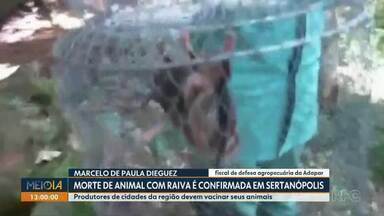 Morte de animal com raiva é confirmada em Sertanópolis - Produtores de cidades da região devem vacinar seus animais.