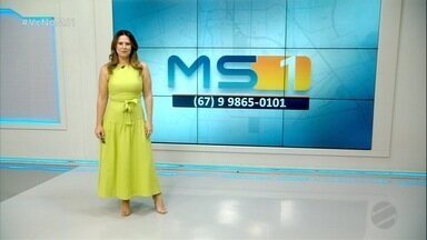 MSTV 1ª edição, quarta-feira, 18/12/2024 - MSTV 1ª edição, quarta-feira, 18/12/2024