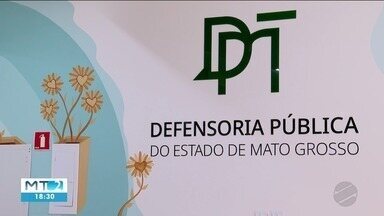 Núcleo de defesa da mulher da Defensoria fez mais de 9 mil atendimentos em 2024 - Núcleo de defesa da mulher da Defensoria fez mais de 9 mil atendimentos em 2024.