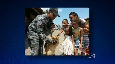 Corpo de policial baleado após reagir a assalto é velado em São Luís - Foi velado nesta terça-feira (10) o corpo do policial militar Hildes Barbosa, que morreu ontem (9) em São Luís. Ele foi baleado no dia 19 de janeiro após reagir a um assalto a ônibus na estrada de Ribamar.