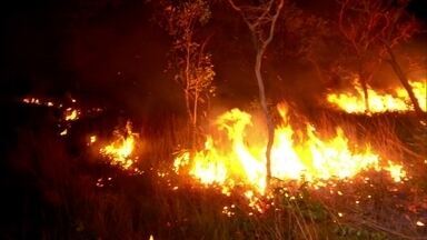 "Fogo do bem" revigora e aduba a terra na Chapada das Mesas - No cerrado, há plantas e árvores que precisam do fogo pra viver. A Chapada das Mesas reúne três biomas: cerrado, caatinga e Floresta Amazônica.