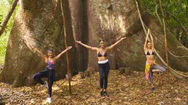 Alter Do Chão – Parte 1 - Thay, Laura e Jacque embarcam numa trilha desafiadora. Caminhar floresta adentro durante 18km em busca da árvore mais antiga do FLONA, a Samaumá vovó. Um passeio cheio de aprendizados e mistério.