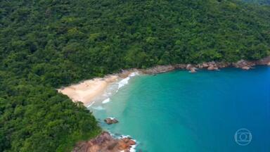 ‘Praia perfeita’ fica entre as duas maiores metrópoles do país - Sem construções, a Praia dos Antigos tem a mata preservada. O nome do lugar faz referência aos antigos moradores. Atualmente, ninguém mais mora aqui na praia.