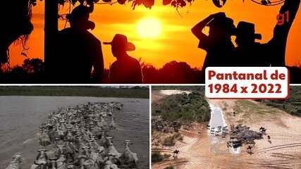 Pantanal de 1984 X 2022