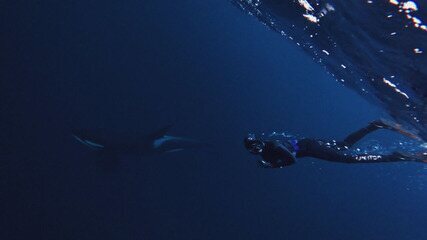 Cenário do ‘Fantástico’ é traqueado para chamar matéria sobre as orcas na Noruega, 12/03/2023