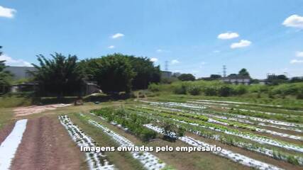 Empresa cria assinatura de reciclagem para diminuir resíduos de lixo