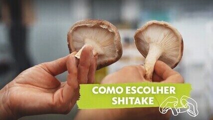 Cogumelo shitake 'gordinho' e com 'chapéu' fechado é saboroso e dura mais na geladeira