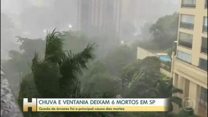 Chuva e ventania provocam estragos em SP