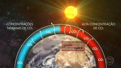 Agência da ONU alerta para maior concentração registrada na atmosfera de dióxido de carbono