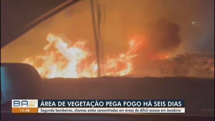 Área de vegetação pega fogo há seis dias no norte da BA