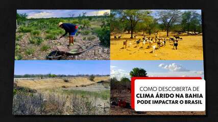 Como a recente descoberta de um clima árido na Bahia pode impactar o restante do Brasil