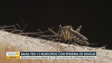 Treze cidades registram epidemia de dengue na Bahia