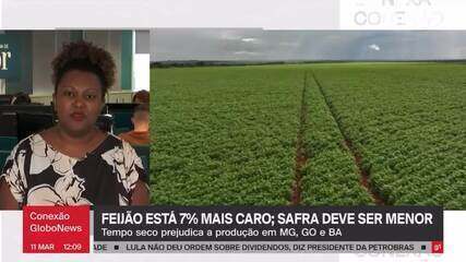 Preço do feijão sobe 7%