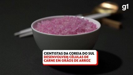 Cientistas da Coreia do Sul conseguiram desenvolver células de carne em grãos de arroz