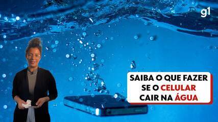 Saiba o que fazer se o celular cair na água