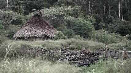 Edição de 02/04/2024 – Saúde Yanomami