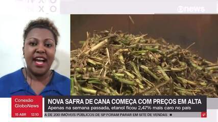 Nova safra de cana começa com preços em alta