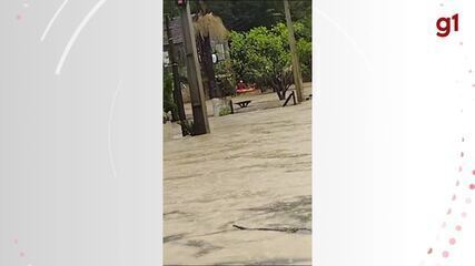 Vídeo mostra resgate a família ilhada em Rio do Sul, SC