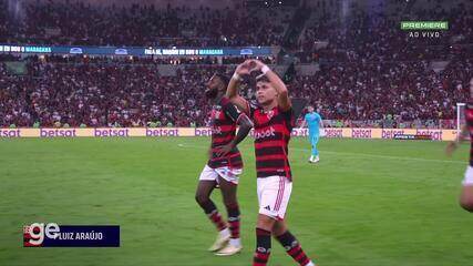 Aos 41 min do 1º tempo - gol de fora da área de Luiz Araújo do Flamengo contra o Grêmio