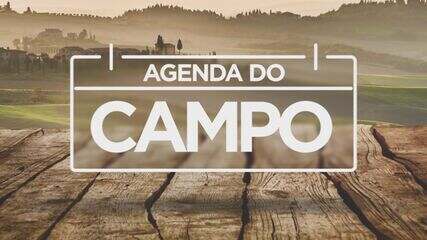 Agenda do Campo (15 a 21 de julho)