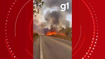 Incêndio florestal atingiu uma região de mata na MT-251