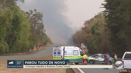 Incêndios em canaviais e plantações chamam atenção na região de Ribeirão Preto