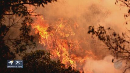 Sul de Minas registra 68 focos de incêndio em 27 cidades neste sábado (24), aponta Inpe