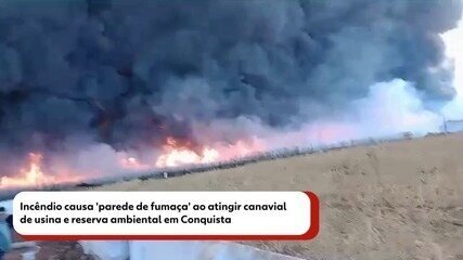 Incêndio causa 'parede de fumaça' ao atingir canavial de usina e reserva ambiental