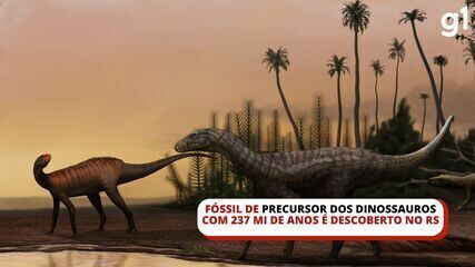 Fóssil de precursor dos dinossauros com 237 milhões de anos é descoberto no RS