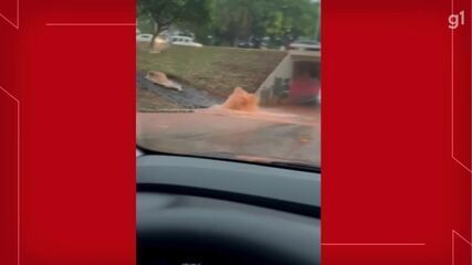 Chuva alaga tesourinha na Asa Norte.