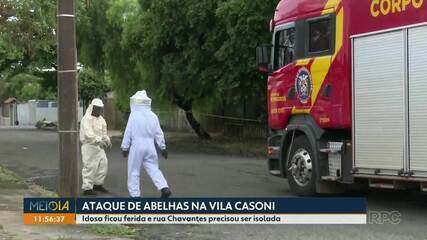 Idosa sofre ataque de abalehas na Vila Casoni