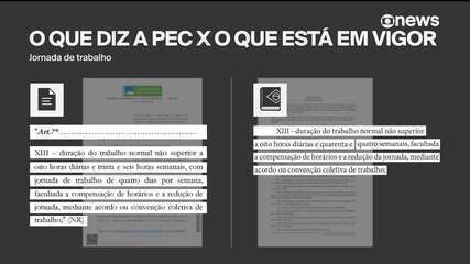 PEC que propõe fim da escala 6x1 ganha forças nas redes