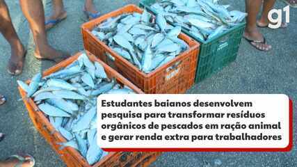 Estudantes desenvolvem pesquisa para transformar resíduos de pescados em ração animal