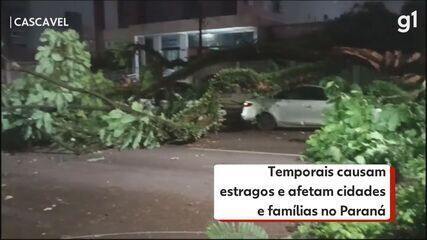 Temporais causam estragos e afetam cidades e famílias no Paraná