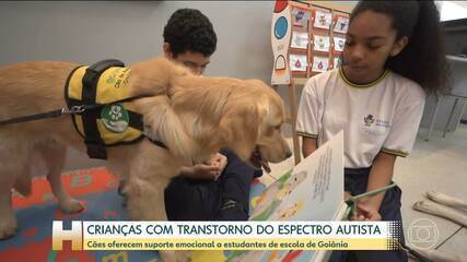 Escolas públicas de Goiânia usam cães para ajudar alunos com transtorno do espectro autista