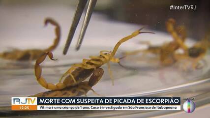 Morte com suspeita de picada de escorpião