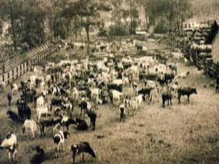 Parceiros do RJ contam a história da Rocinha