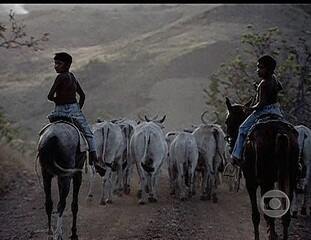 Estreia da série “Reserva Raposa Serra do Sol” com reportagem especial de Carlos de Lannoy e Mário Reis sobre a reserva indígena Raposa Serra do Sol, em Roraima, Jornal da Globo, 13/08/2008.