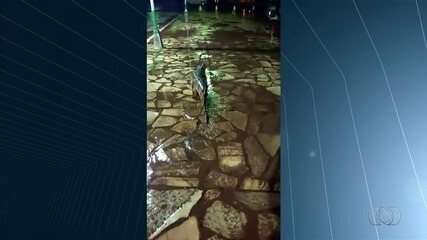 Jacaré é filmado andando em calçada de avenida em Porangatu